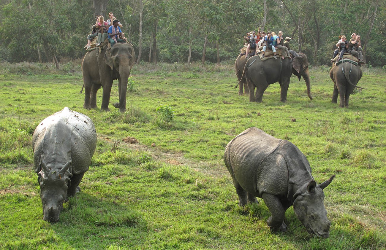 Bardiya National Park | Travel Package - Enlighten Trip