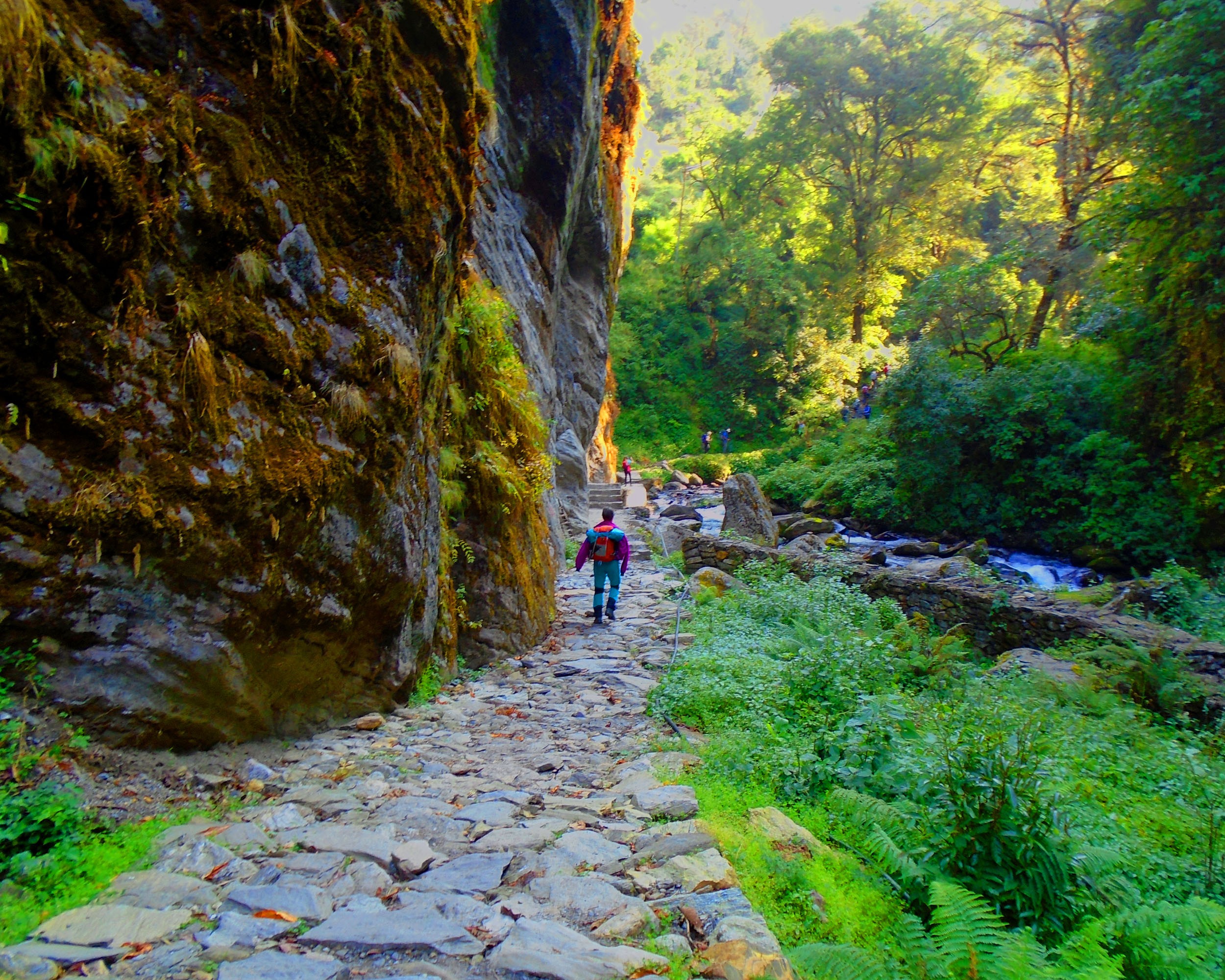 Langtang Region Trekking| Trekking in Nepal | Enlighten Trip