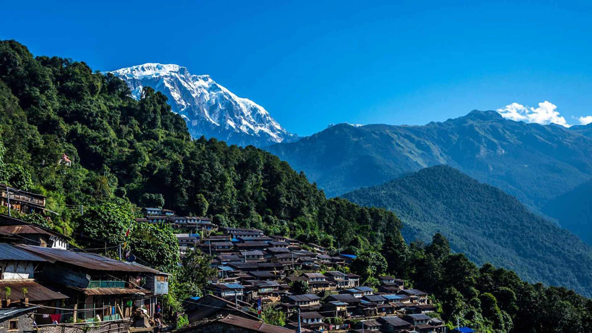 Annapurna Region Trekking| Trekking in Nepal | Enlighten Trip
