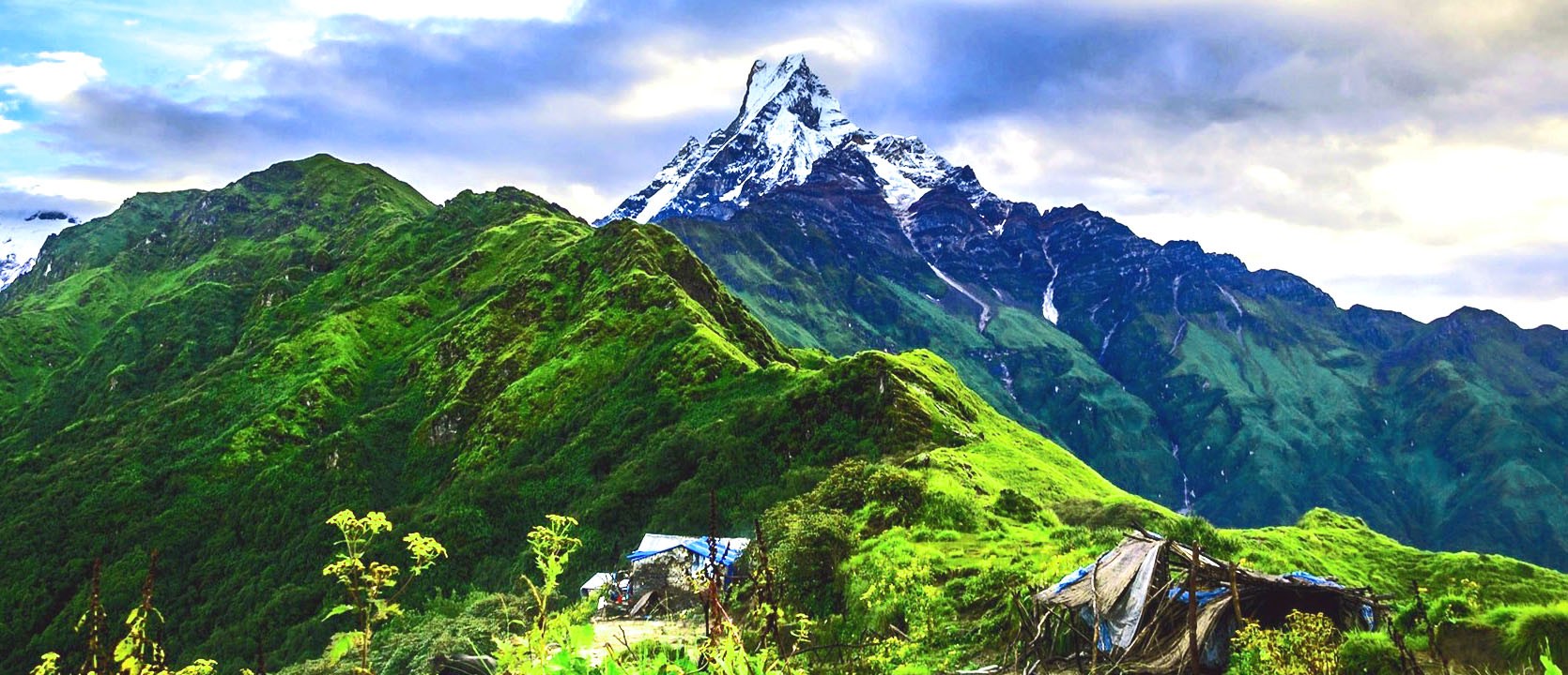 Mardi Himal Trek | Travel Package - Enlighten Trip